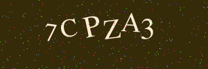Проверочное изображение